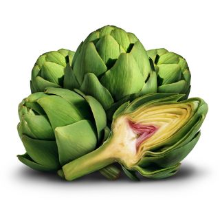 Ekstrakt z liści karczocha