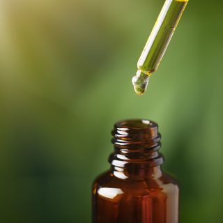 Proszek z liści zielonej herbaty